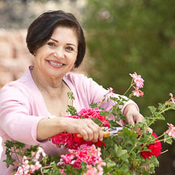 Hispanic woman cutting flowers